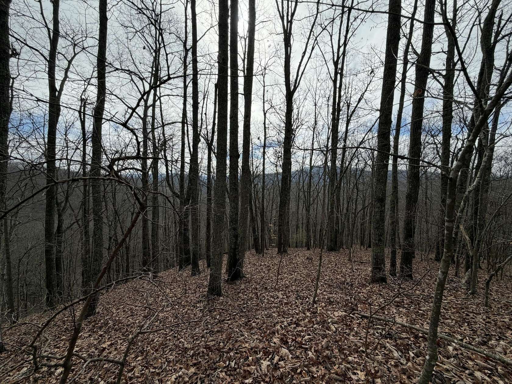 33 Acres of Recreational & Residential Land for Sale in Harriman, Tennessee