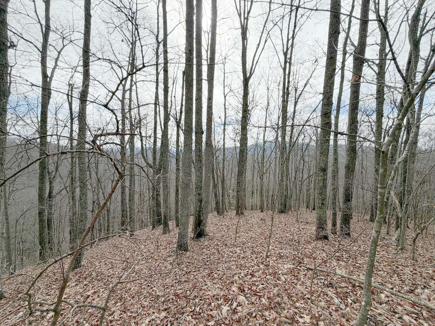 33 Acres of Recreational & Residential Land for Sale in Harriman, Tennessee