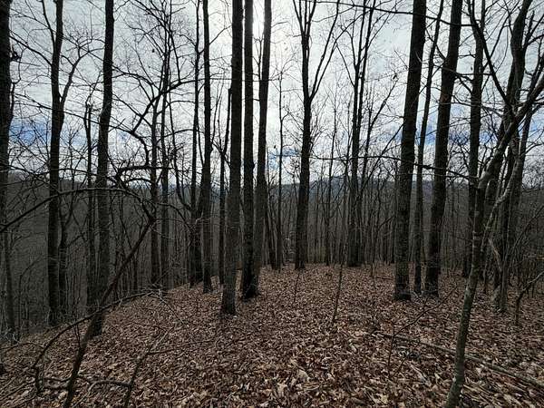 33 Acres of Recreational & Residential Land for Sale in Harriman, Tennessee