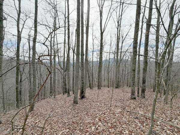 33 Acres of Recreational & Residential Land for Sale in Harriman, Tennessee