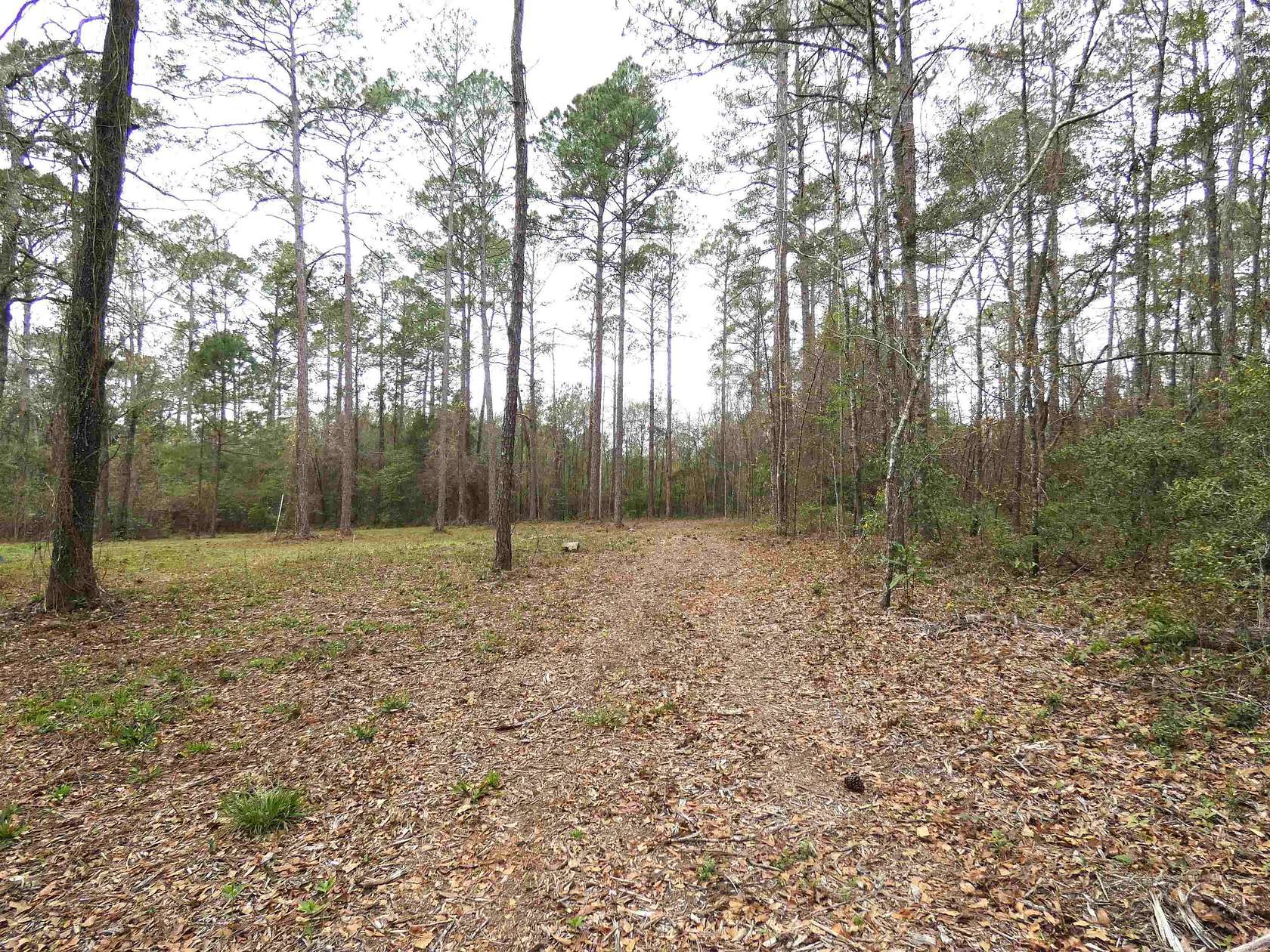10 Acres of Residential Land for Sale in Monticello, Florida