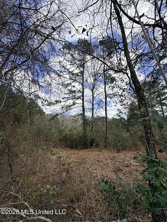 2 Acres of Residential Land for Sale in McComb, Mississippi