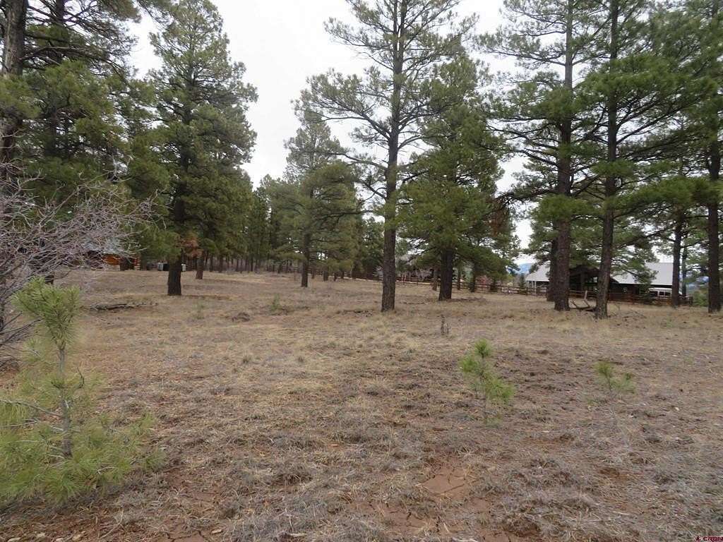 0.95 Acres of Residential Land for Sale in Pagosa Springs, Colorado
