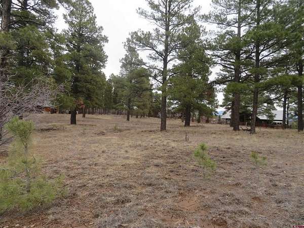 0.95 Acres of Residential Land for Sale in Pagosa Springs, Colorado
