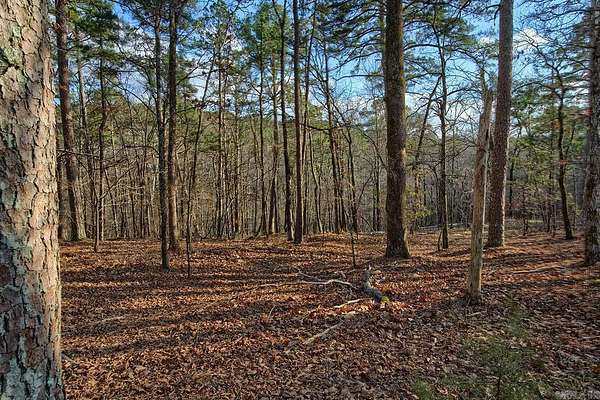 0.34 Acres of Residential Land for Sale in Hot Springs Village, Arkansas