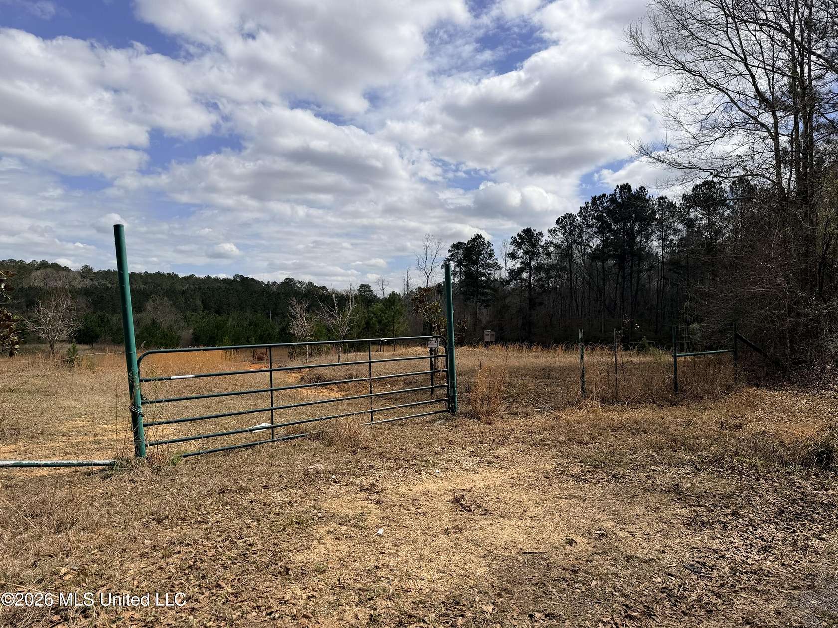 26.2 Acres of Recreational & Residential Land for Sale in McComb, Mississippi