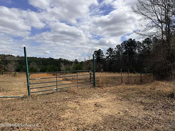 26.2 Acres of Recreational & Residential Land for Sale in McComb, Mississippi