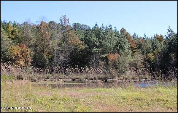 61.3 Acres of Recreational & Residential Land for Sale in McComb, Mississippi