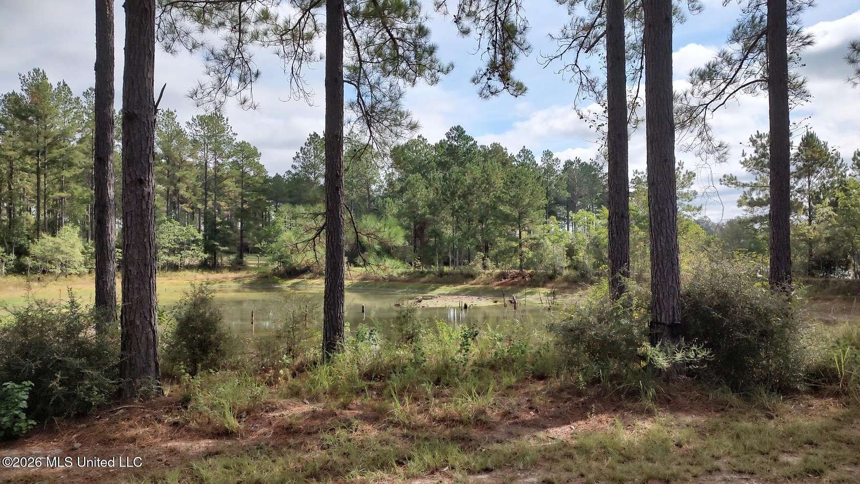 100 Acres of Recreational & Residential Land for Sale in Lumberton, Mississippi
