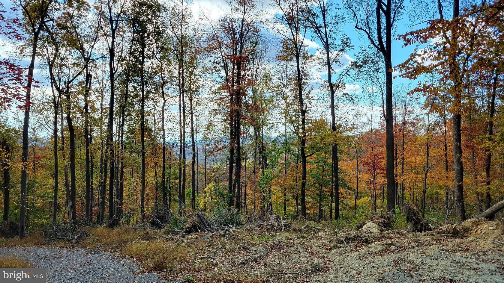 36 Acres of Recreational & Residential Land for Sale in Myersville, Maryland