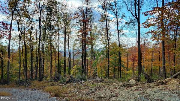 36 Acres of Recreational & Residential Land for Sale in Myersville, Maryland