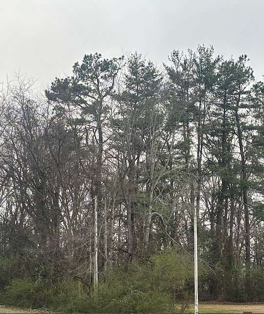 1.1 Acres of Residential Land for Sale in Dickson, Tennessee