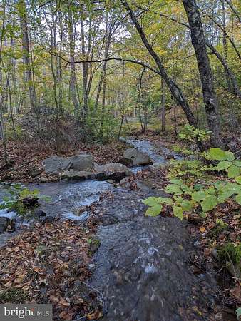 5 Acres of Residential Land for Sale in Lovingston, Virginia