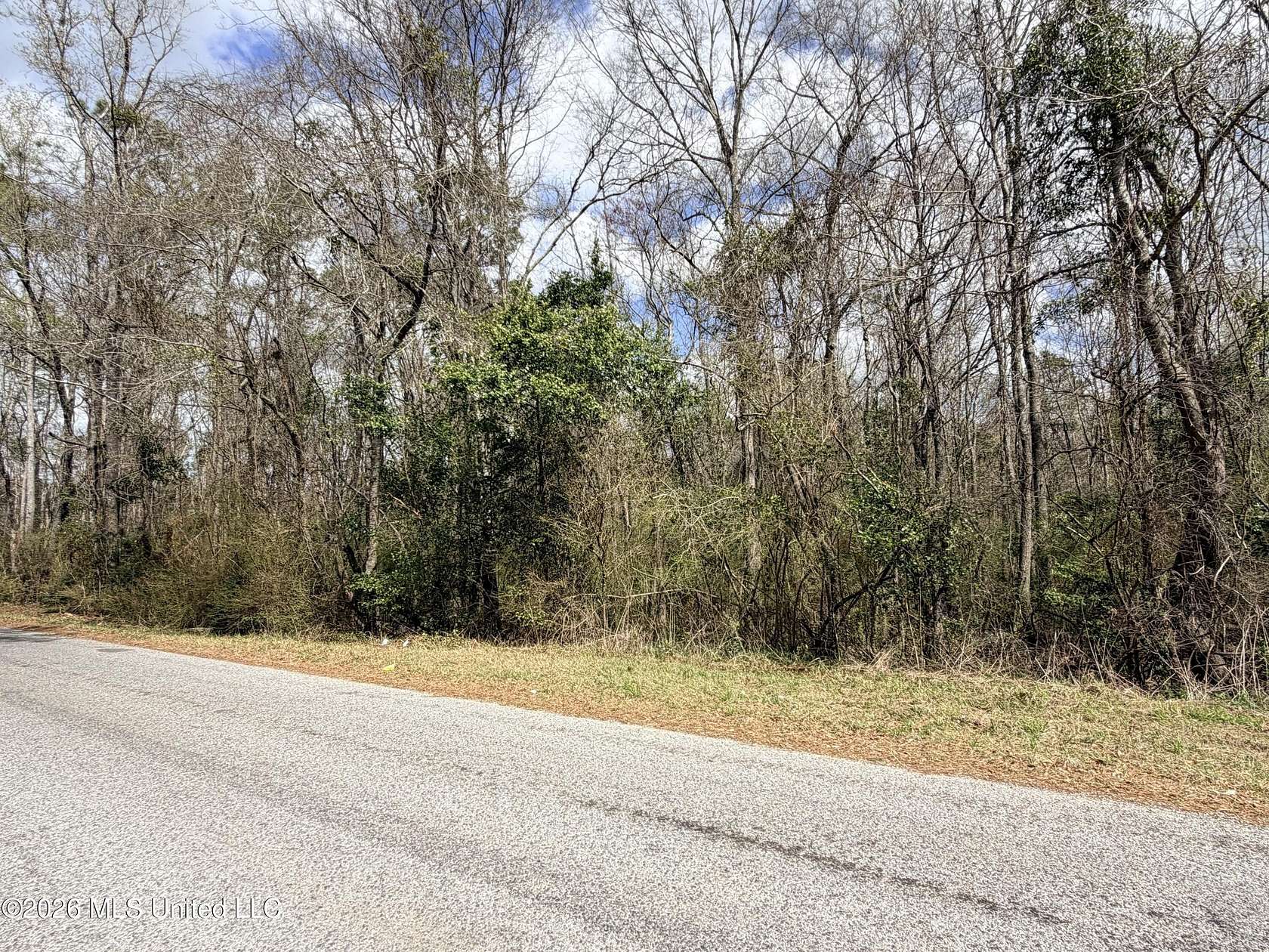 35.8 Acres of Recreational & Residential Land for Sale in McComb, Mississippi