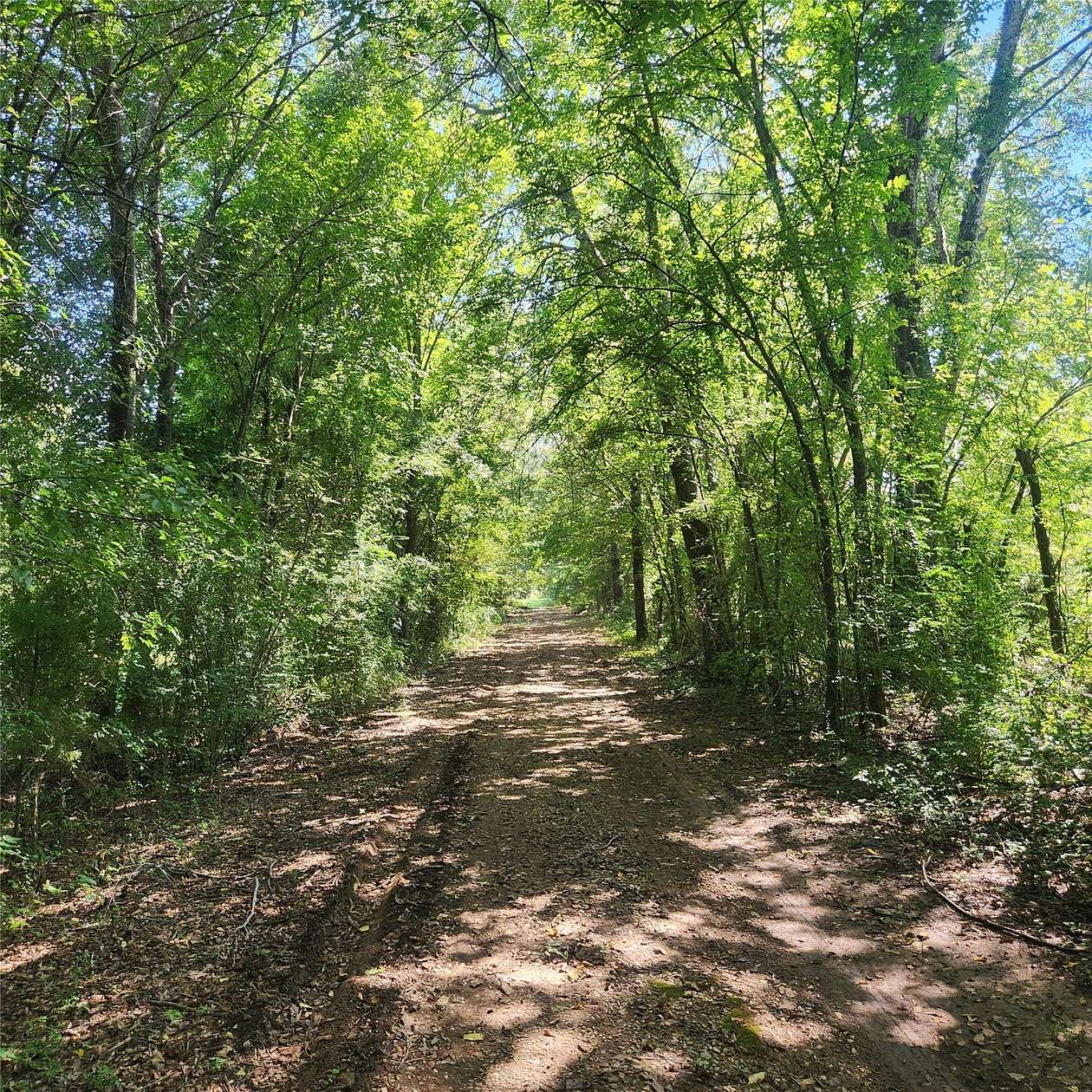 4 Acres of Residential Land for Sale in Lindale, Texas