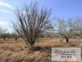1 Acre of Land for Sale in San Benito, Texas