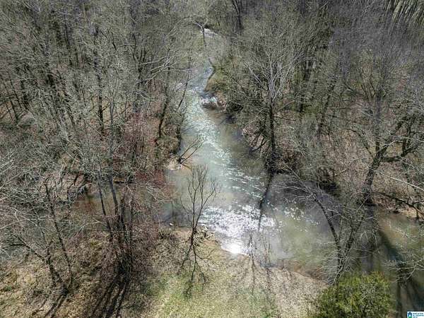 10.9 Acres of Land for Sale in Piedmont, Alabama