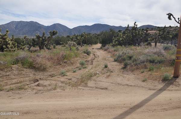 1.24 Acres of Residential Land for Sale in Juniper Hills, California