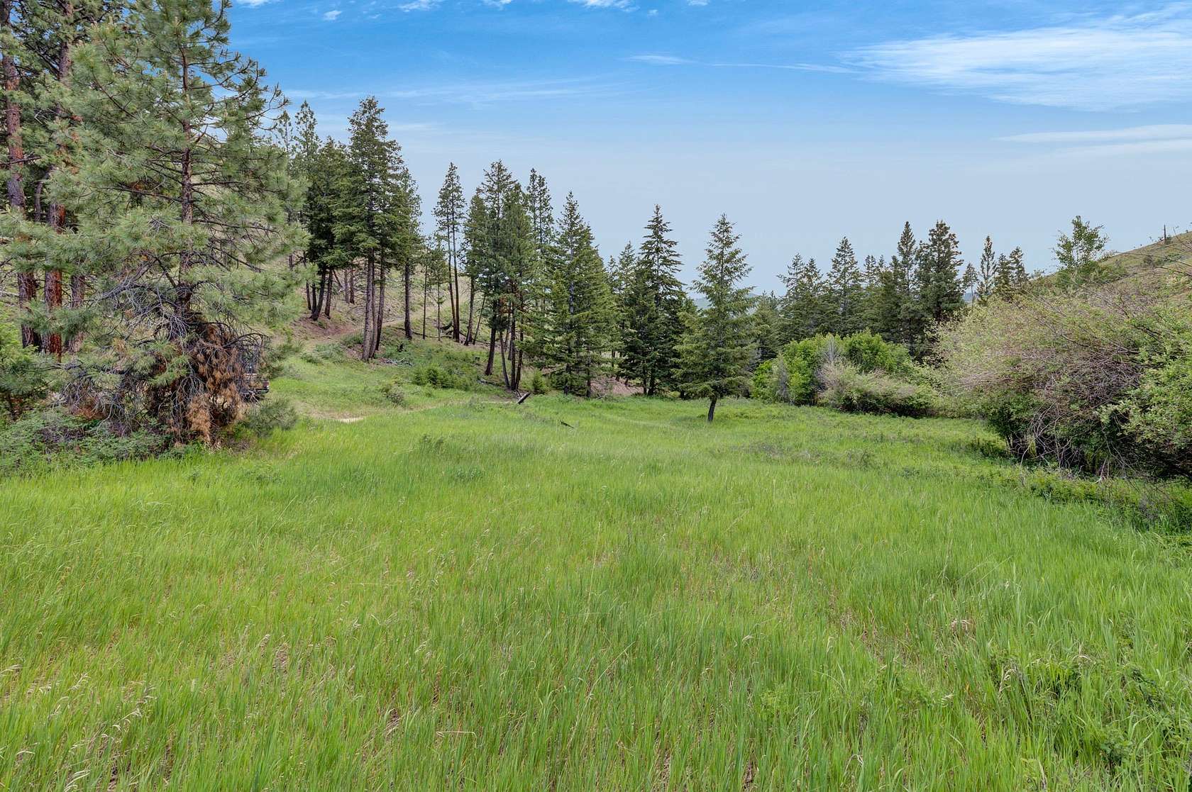 17.1 Acres of Recreational Land for Sale in Darby, Montana