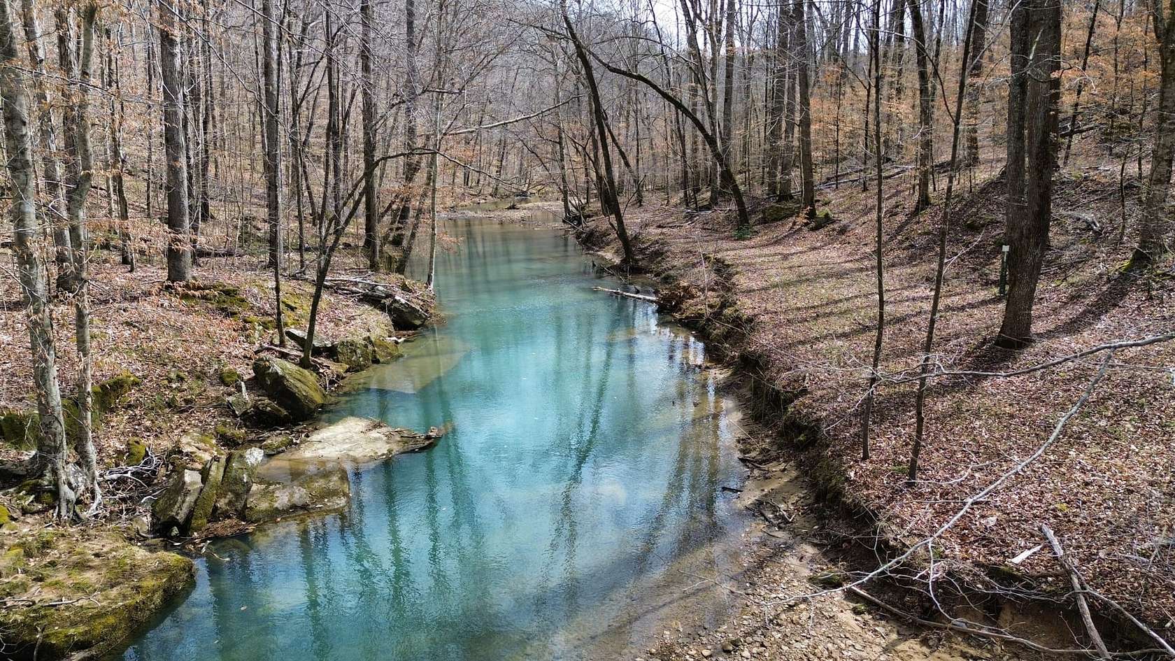 40 Acres of Land with Home for Sale in Mount Hope, Alabama