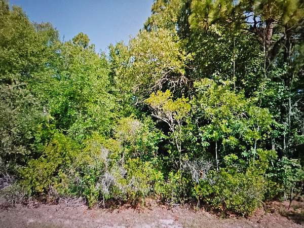 0.38 Acres of Residential Land for Sale in Citrus Springs, Florida