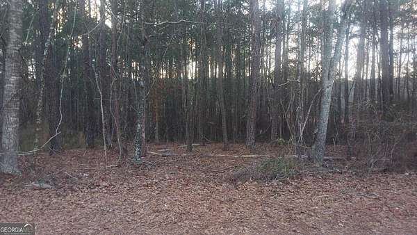 1 Acre of Residential Land for Sale in Covington, Georgia