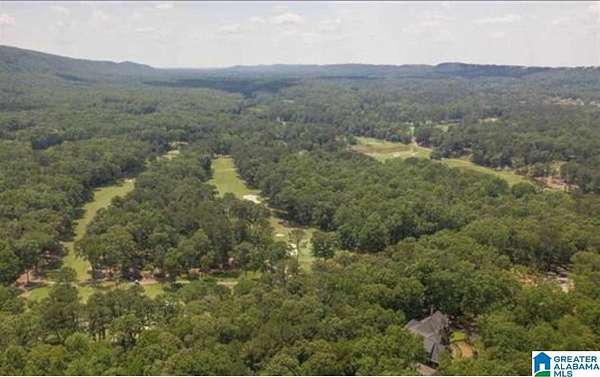 3.2 Acres of Residential Land for Sale in Birmingham, Alabama