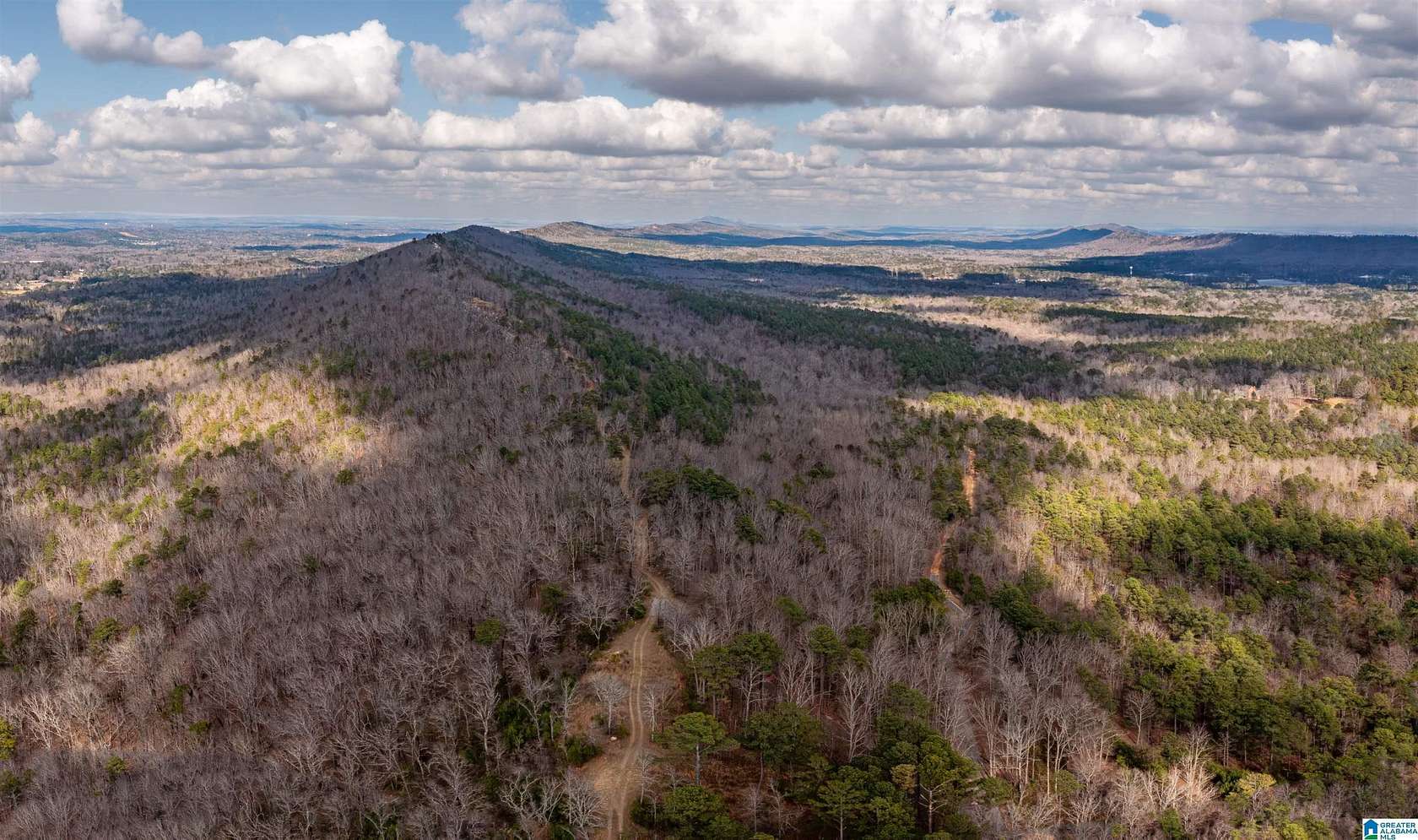 12 Acres of Land for Sale in Leeds, Alabama