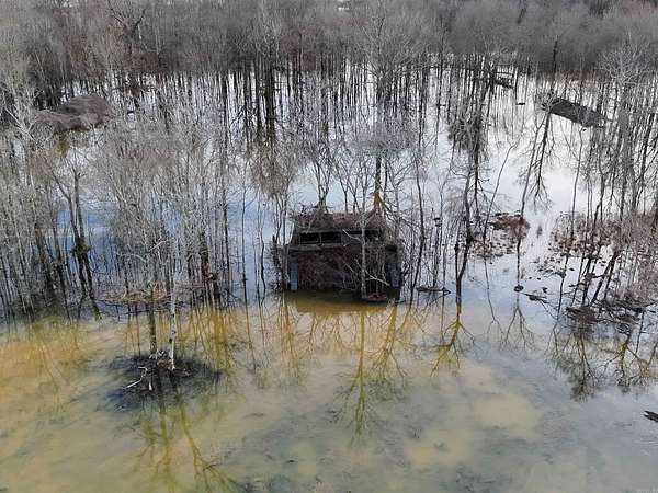 40 Acres of Recreational Land for Sale in Cash, Arkansas