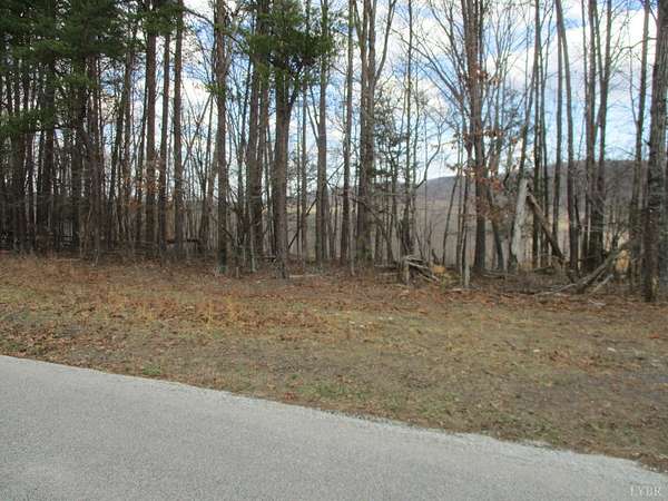 32 Acres of Recreational & Residential Land for Sale in Madison Heights, Virginia