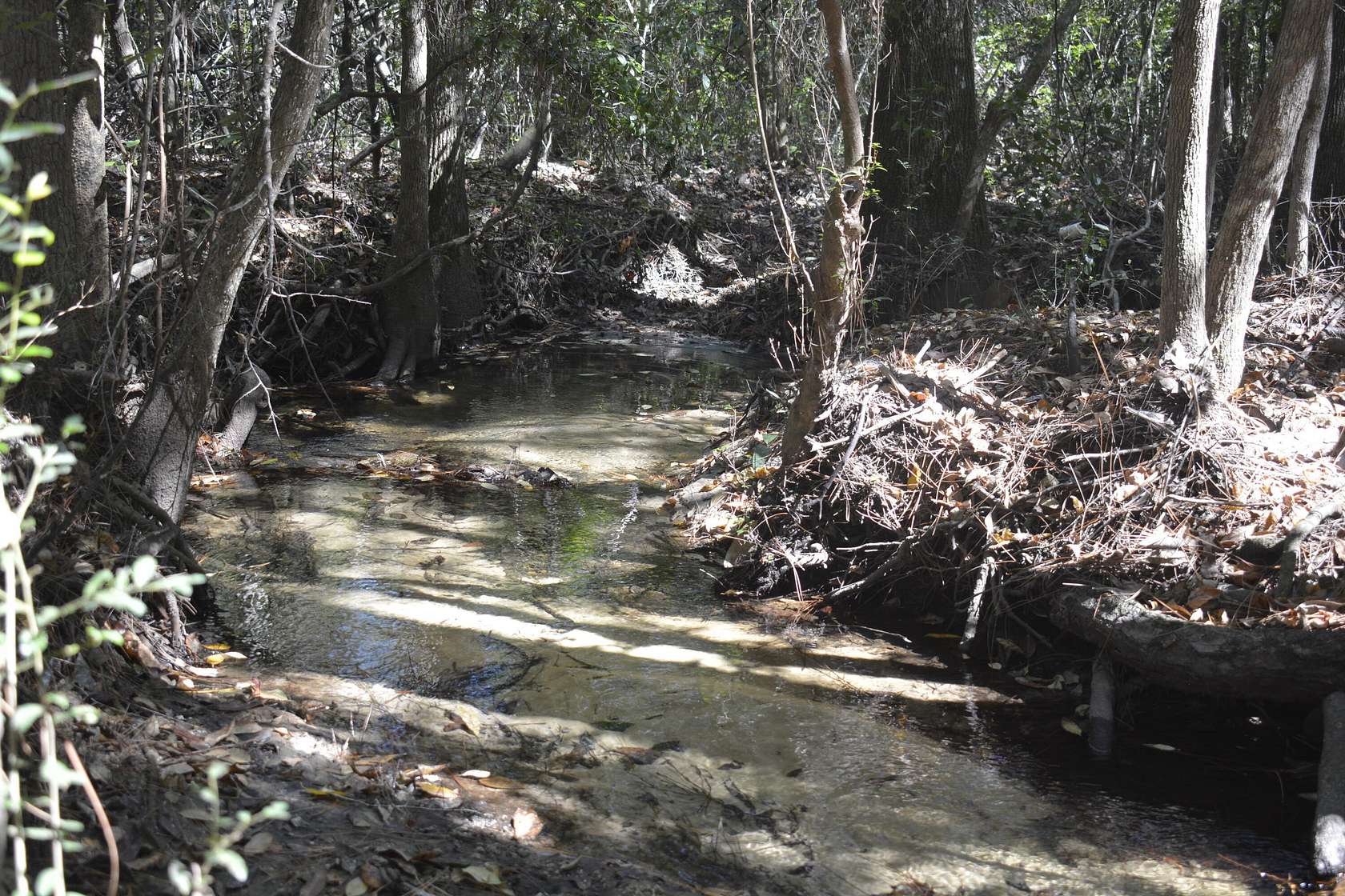32.3 Acres of Recreational & Residential Land for Sale in Crestview, Florida