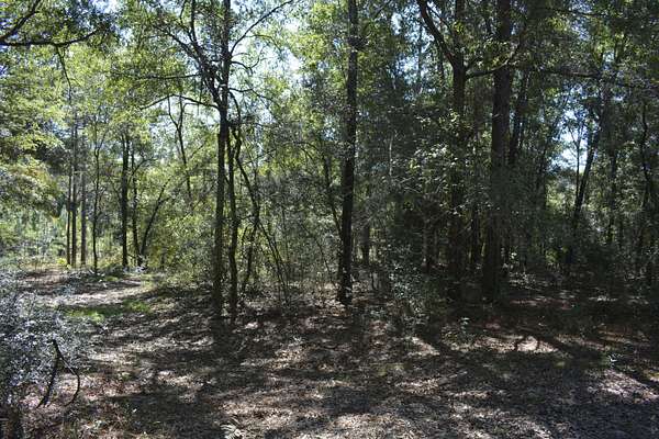 32.3 Acres of Recreational & Residential Land for Sale in Crestview, Florida