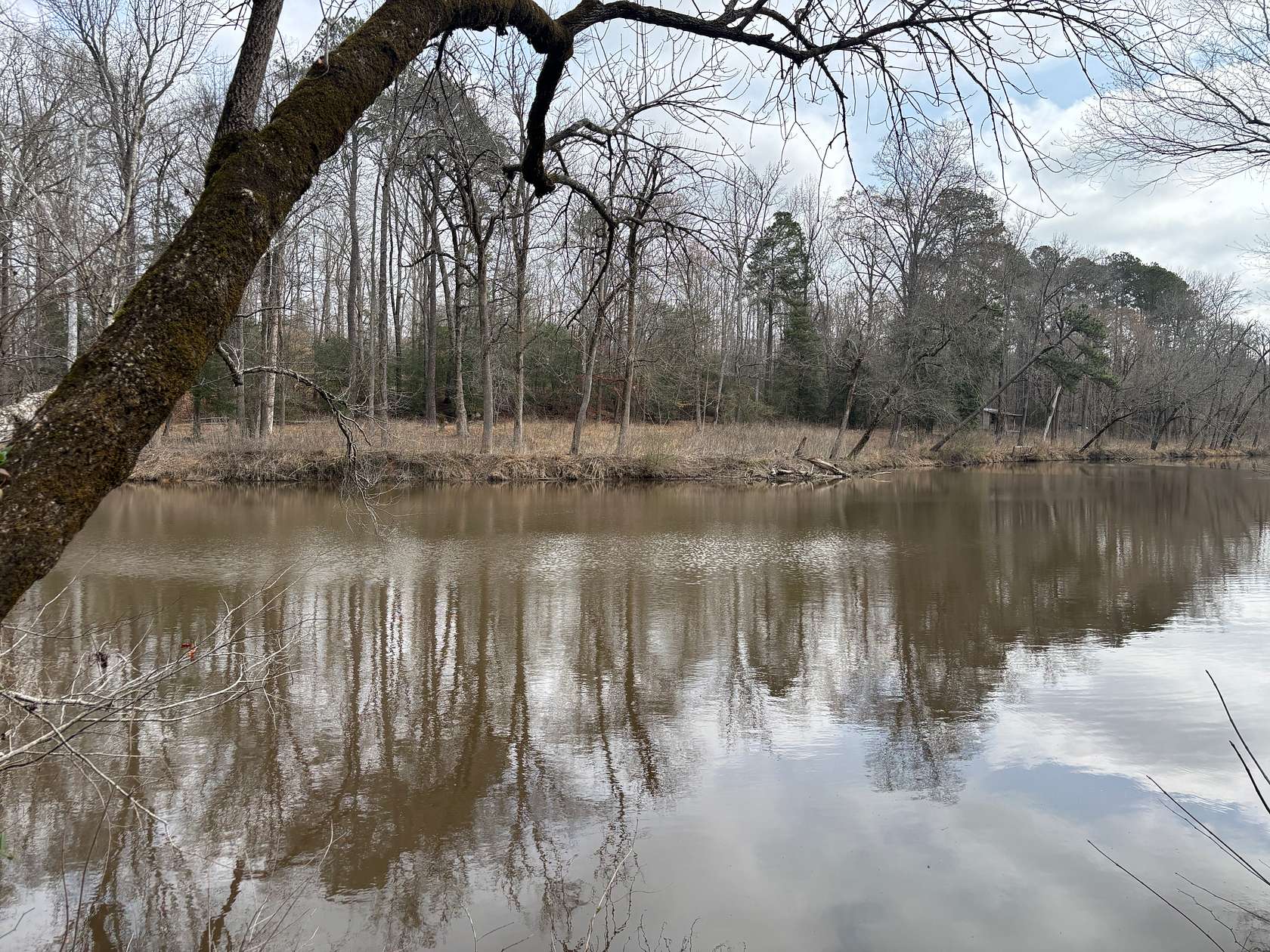 43 Acres of Recreational Land for Sale in Mount Gilead Township, North Carolina