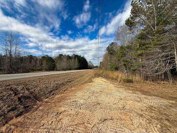 19.5 Acres of Recreational & Residential Land for Sale in Jack, Alabama