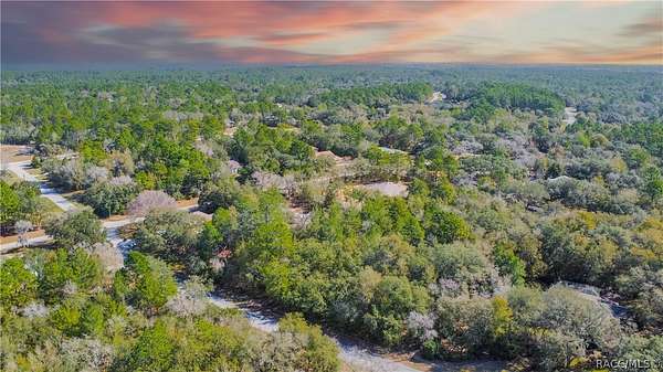 1.18 Acres of Residential Land for Sale in Beverly Hills, Florida