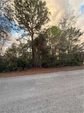 0.29 Acres of Residential Land for Sale in Homosassa, Florida