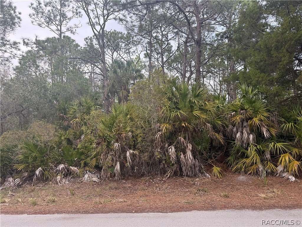 0.48 Acres of Residential Land for Sale in Homosassa, Florida