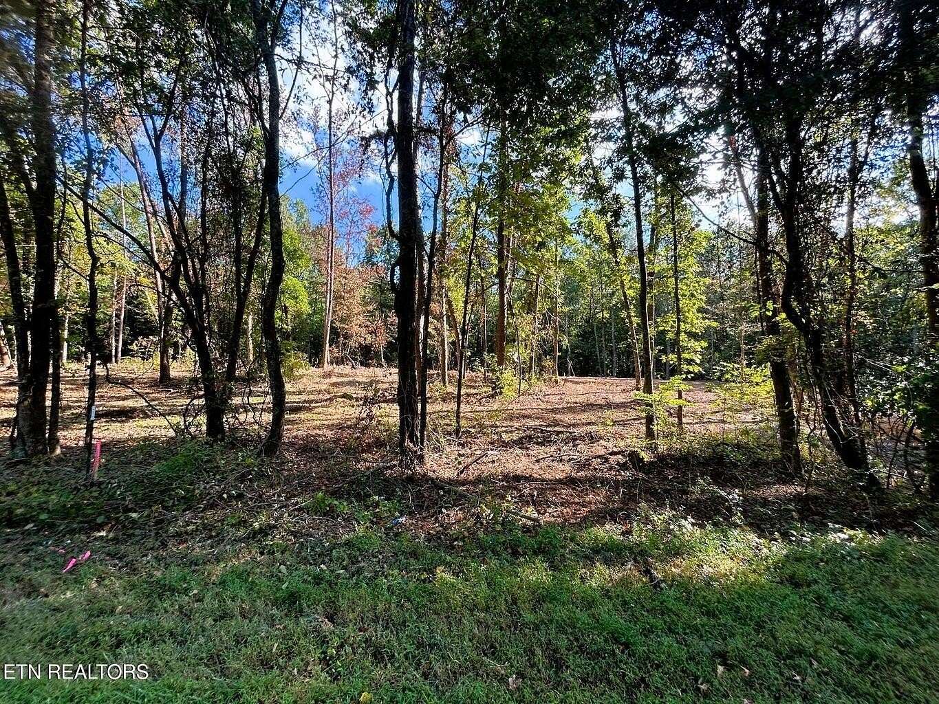 5.5 Acres of Residential Land for Sale in Ten Mile, Tennessee