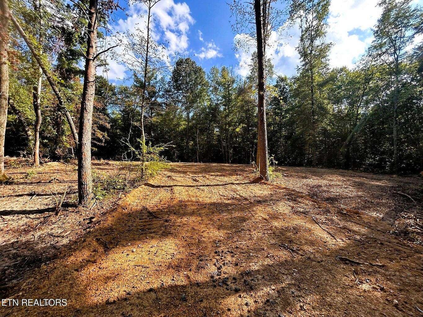 5.5 Acres of Land for Sale in Ten Mile, Tennessee