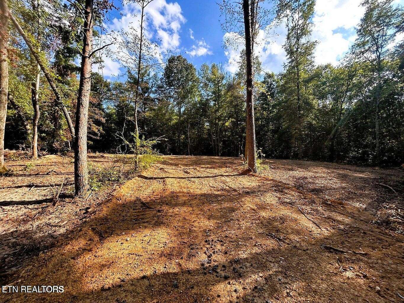 5.5 Acres of Land for Sale in Ten Mile, Tennessee