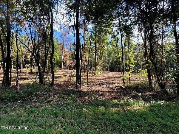 5.5 Acres of Residential Land for Sale in Ten Mile, Tennessee