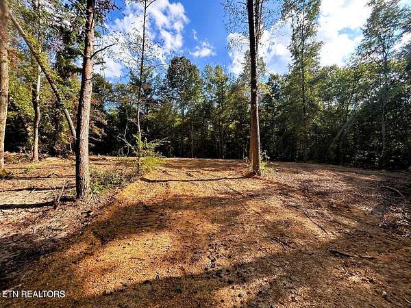 5.5 Acres of Land for Sale in Ten Mile, Tennessee