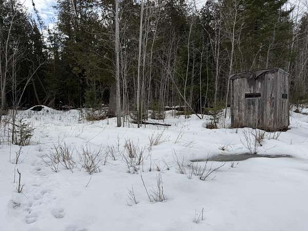 39.3 Acres of Recreational Land for Sale in Hubbard Lake, Michigan