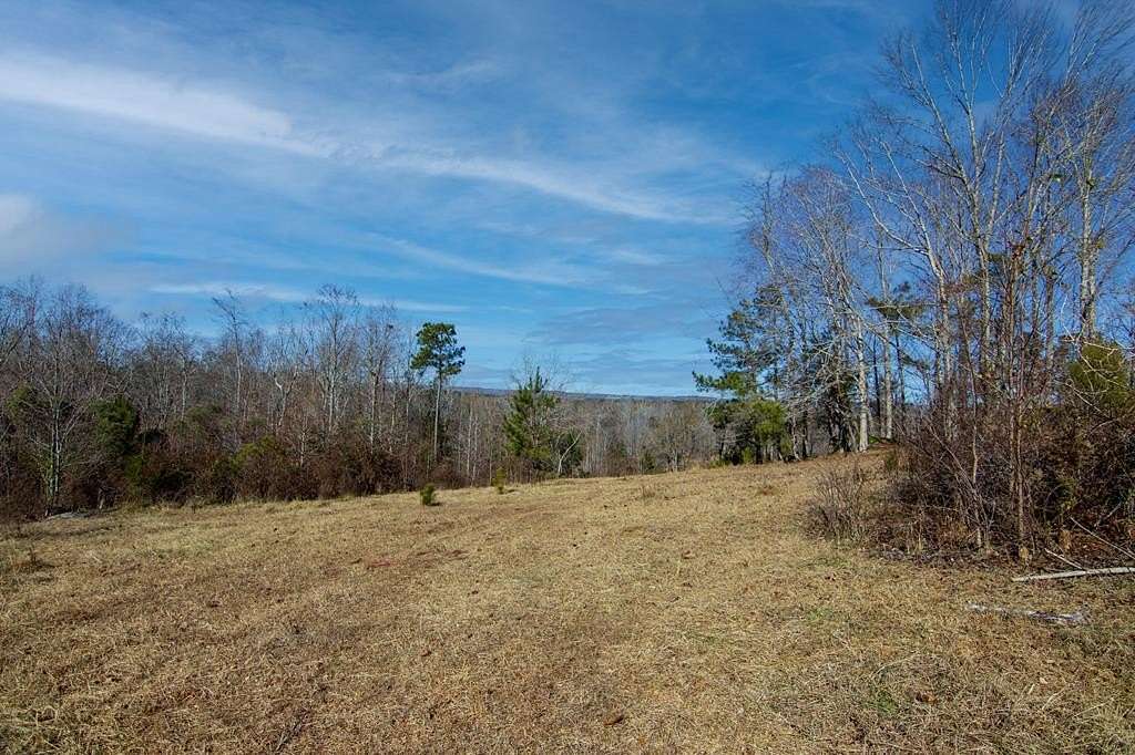 13.1 Acres of Land for Sale in Shiloh, Georgia