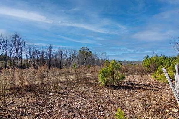 13.8 Acres of Land for Sale in Shiloh, Georgia