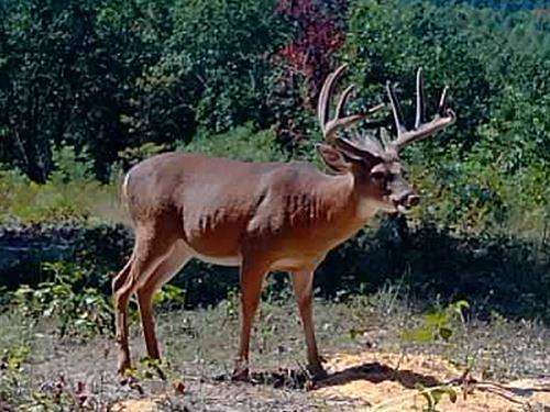 518 Acres of Recreational Land for Sale in Beaver, Ohio