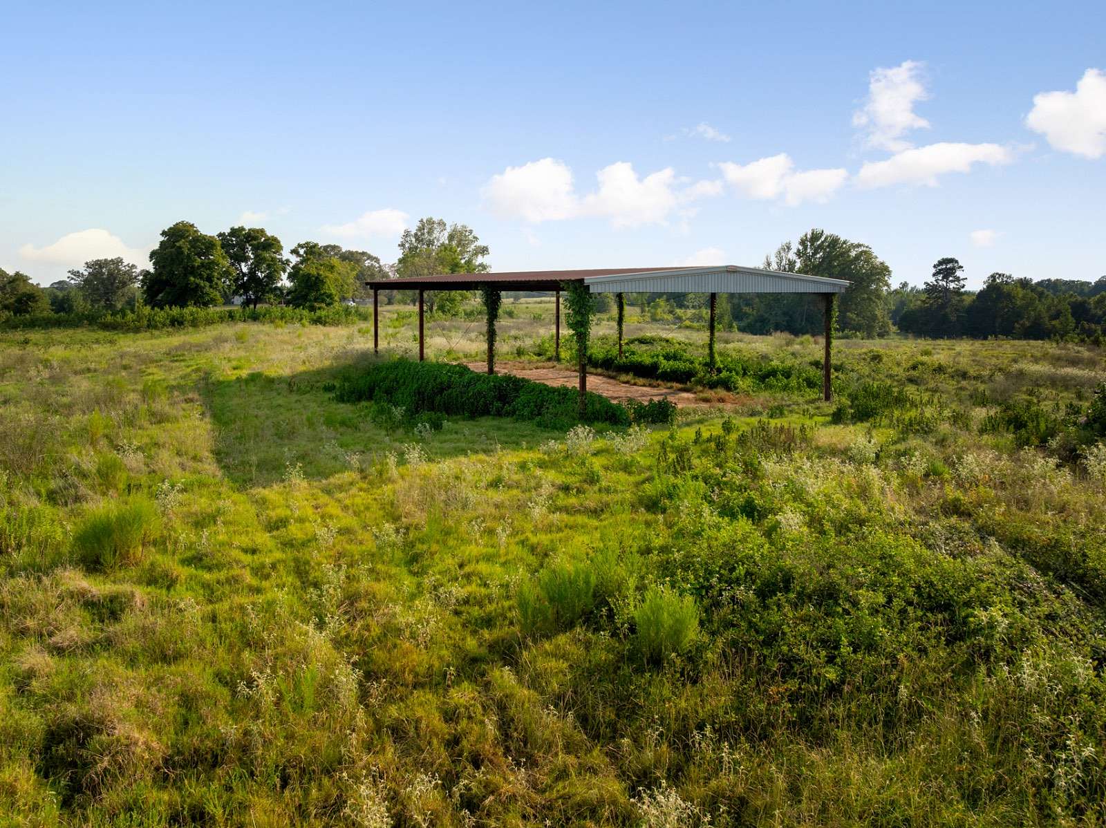 161 Acres of Land for Sale in Idabel, Oklahoma