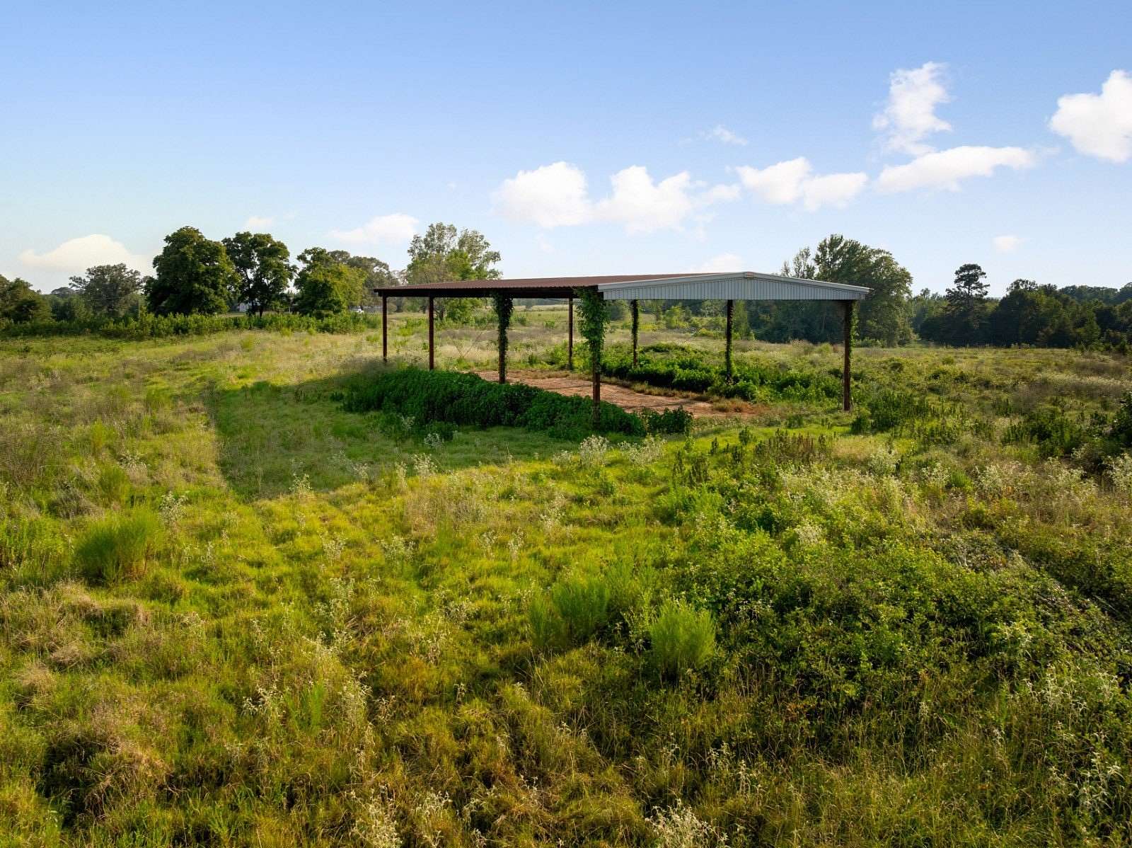 161 Acres of Land for Sale in Idabel, Oklahoma