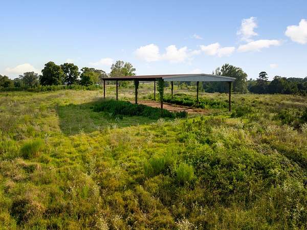 161 Acres of Land for Sale in Idabel, Oklahoma