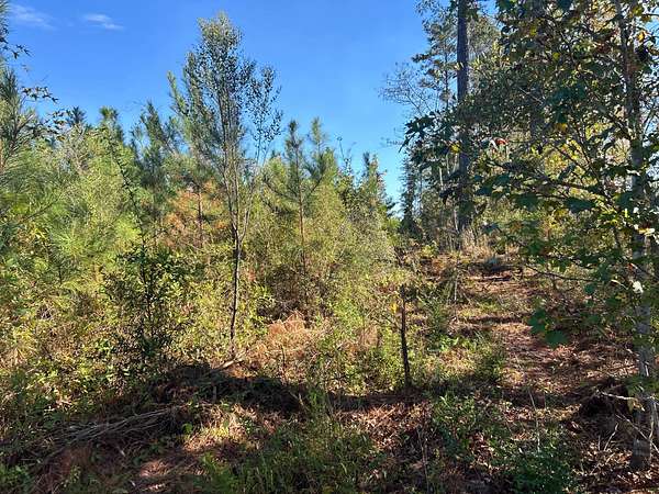 20 Acres of Land for Sale in Rose Hill, Alabama